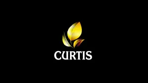 Curtis — Вкус, волнующий воображение