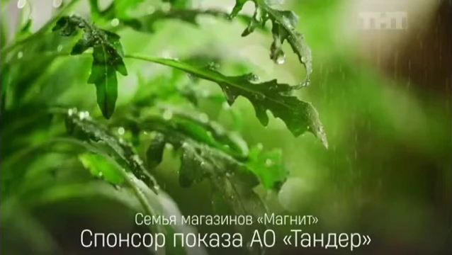 Магнит — С грядки на полку со скоростью свежести реклама на ТВ