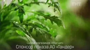 Магнит — С грядки на полку со скоростью свежести