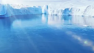 Санта Бремор — Антарктик Криль