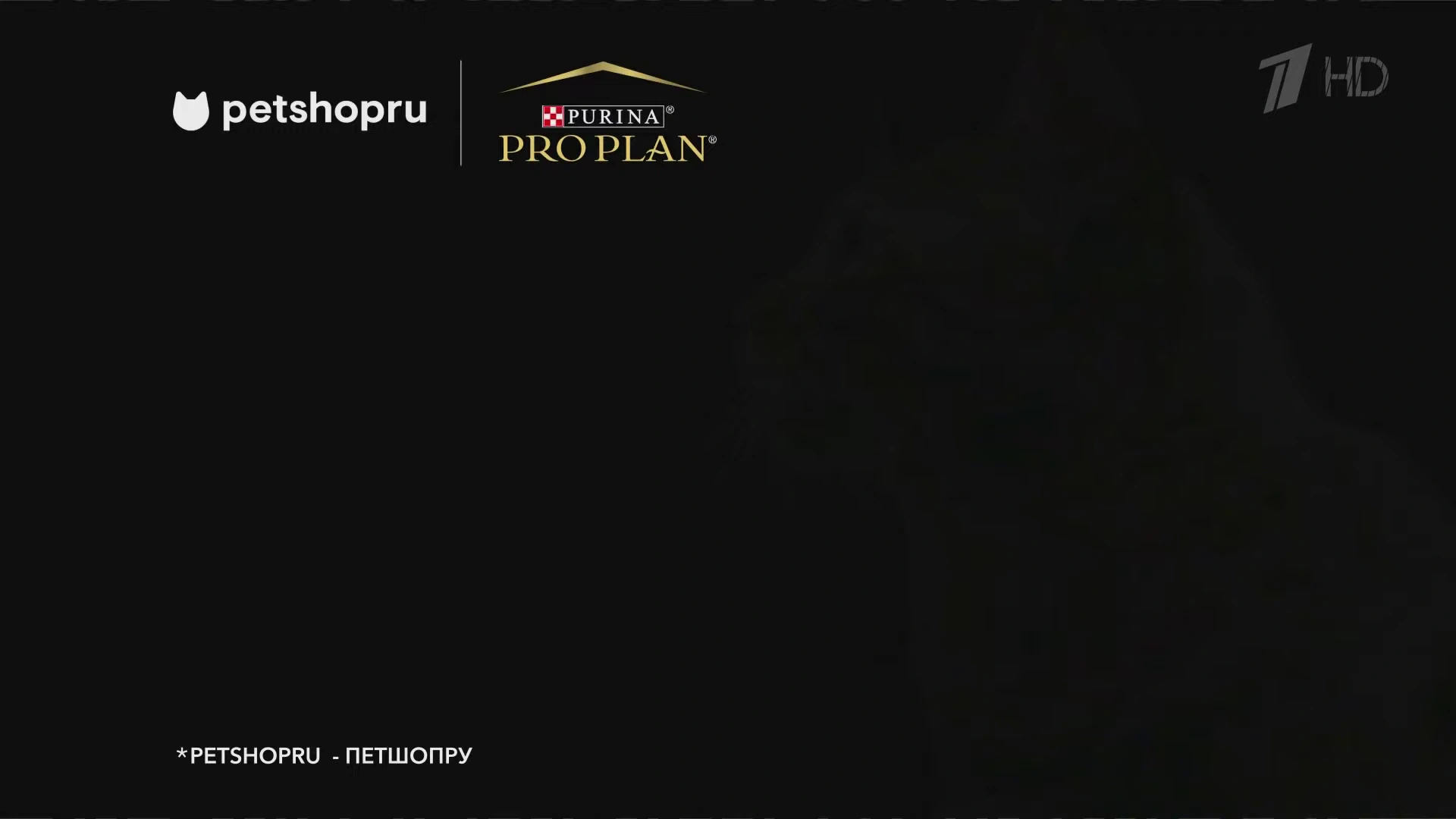 Purina Petshop реклама на ТВ
