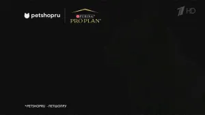 Purina Petshop реклама