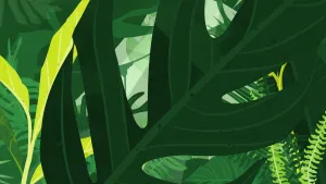 N Натуральный Шоколад