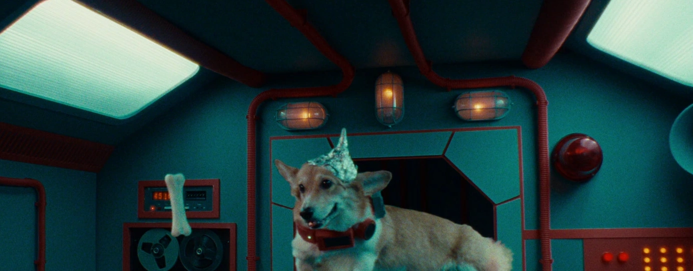 Flowwow — Собака реклама на ТВ