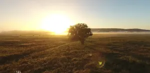 Дорожное радио — Это Родина моя!