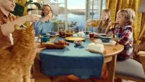 Laplandia — Сливочное солнце. Откройтесь счастью!