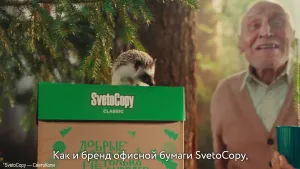 SvetoCopy — Лесной SvetoДзен (Николай Дроздов)