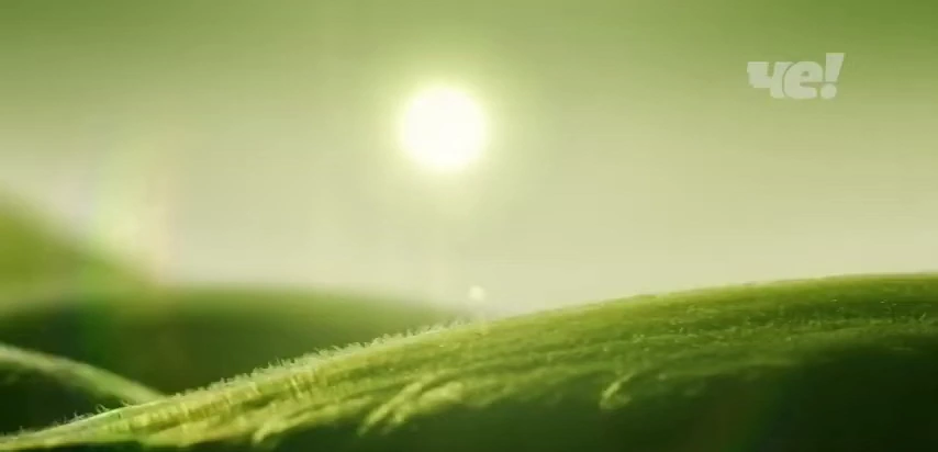 Beko Harvest Fresh — Вдохновлено природой. Наполнено светом. реклама на ТВ