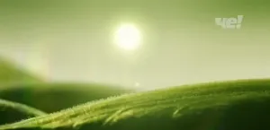 Beko Harvest Fresh — Вдохновлено природой. Наполнено светом.