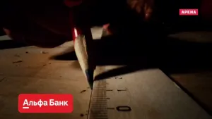 Альфа Банк — Ты же девушка