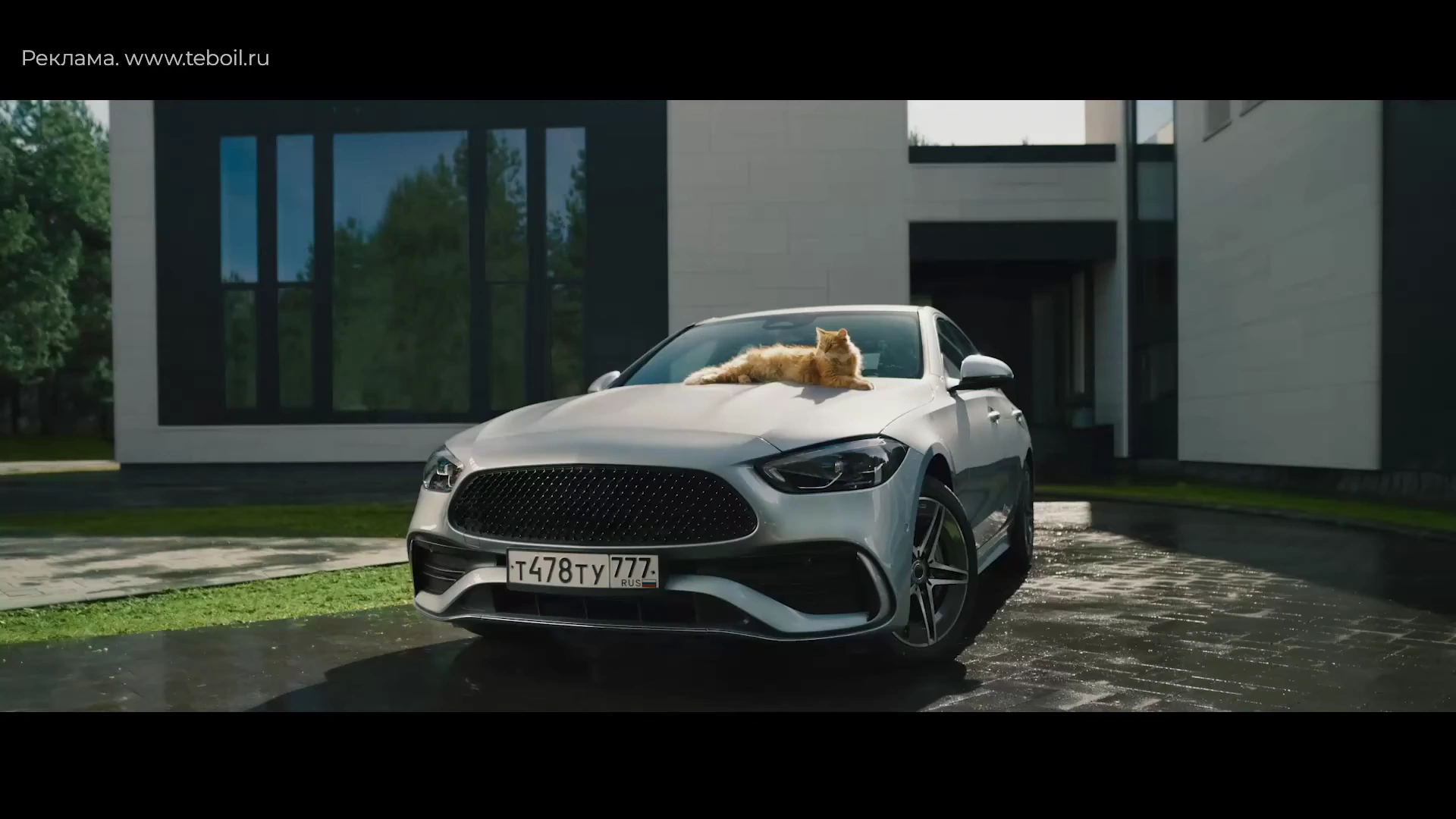 Teboil Diamond — Кошка на капоте реклама на ТВ