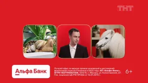 Альфа Банк — И с собачкой и котом (Иван Абрамов)