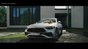 Teboil Diamond — Кошка на капоте