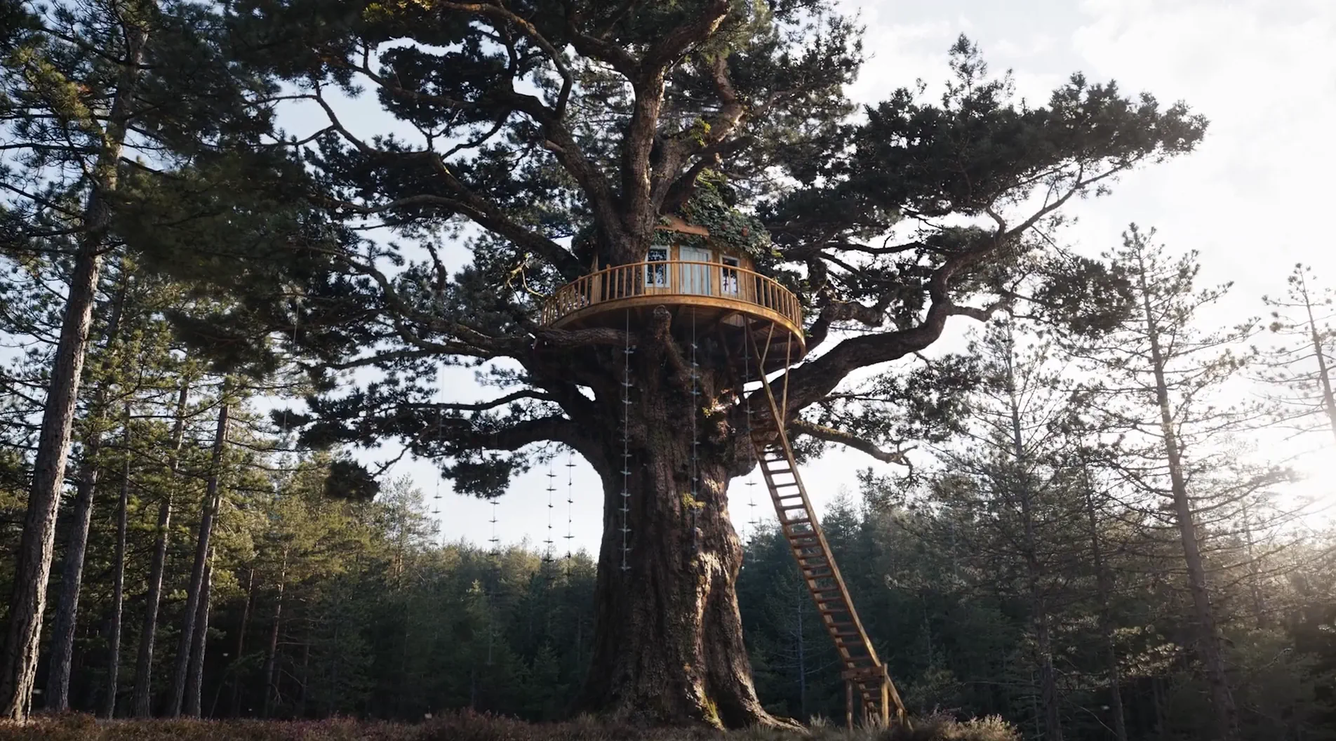 ПИК - Серия плюс реклама на ТВ