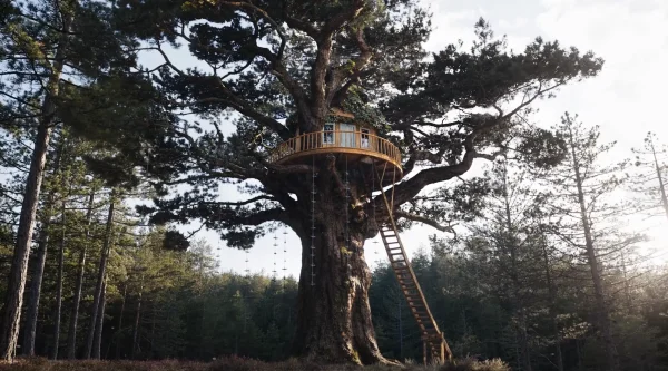 ПИК - Серия плюс реклама