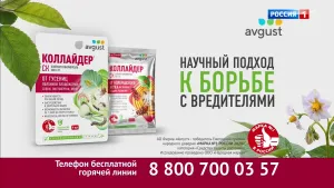 Коллайдер — Научный подход за три дня реклама